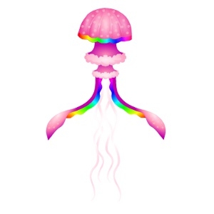 Rainbow Shimmer Jellyfish